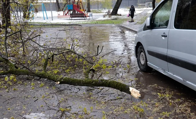 Последствия снегопада в Москве